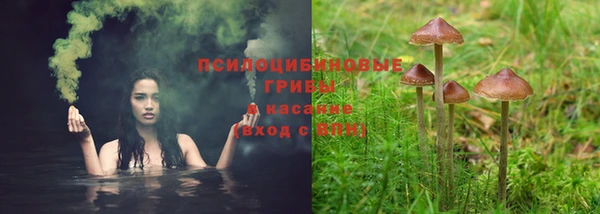прущие крисы Богородицк