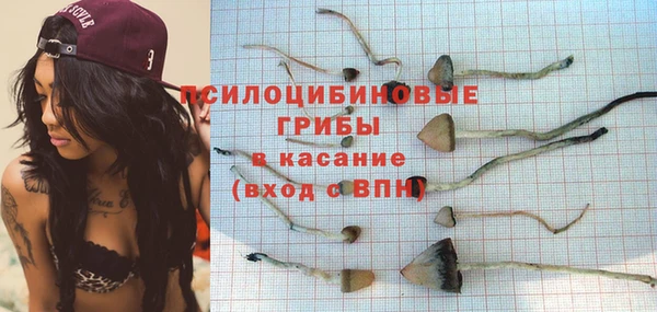 скорость mdpv Богородск