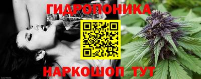 mdpv Обь