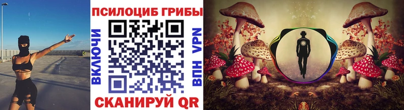 Галлюциногенные грибы GOLDEN TEACHER Сланцы